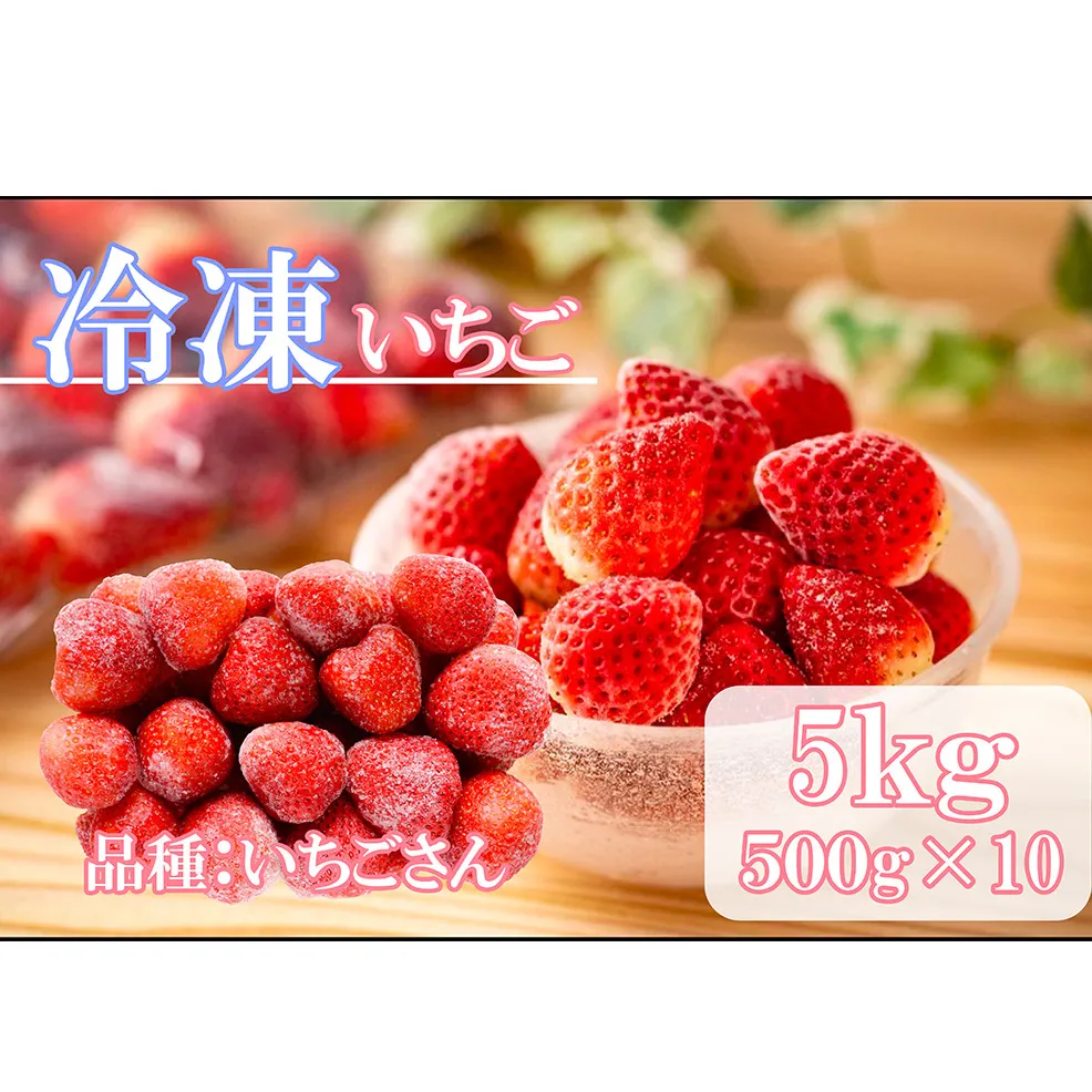 DV231_冷凍いちご（いちごさん）5kg(500gX10)