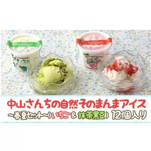 AE034_農家が考えたなめらかアイス１２個（いちご＆黒豆抹茶）