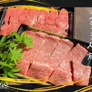 DX015　佐賀牛焼肉用400ｇ
