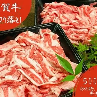 DX010　佐賀牛切り落とし1ｋｇ