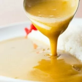 DR005　博多の名店ナイル 生カレー１０パックセット