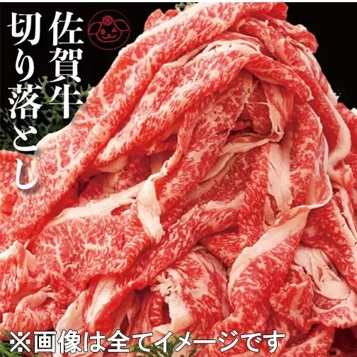 BG049　佐賀牛 豪華 800g 切落し【認定】オススメ！ 人気！