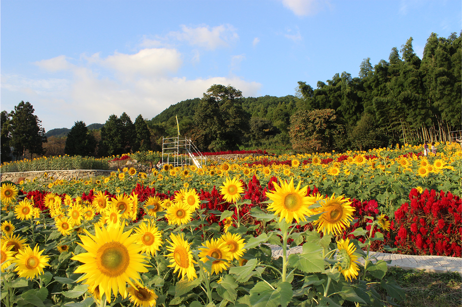 佐賀県みやき町