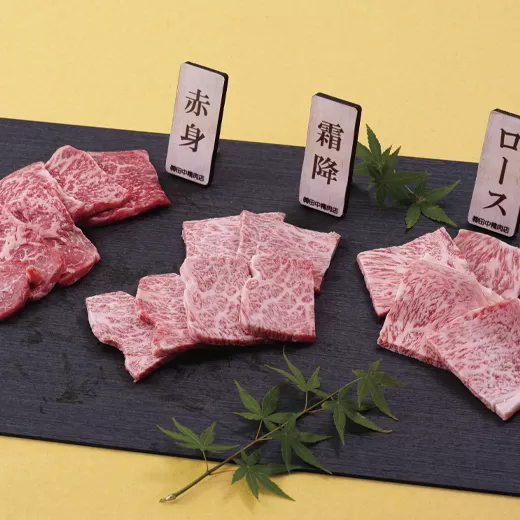 長崎和牛3種盛り焼肉食べ比べセット(計480g)