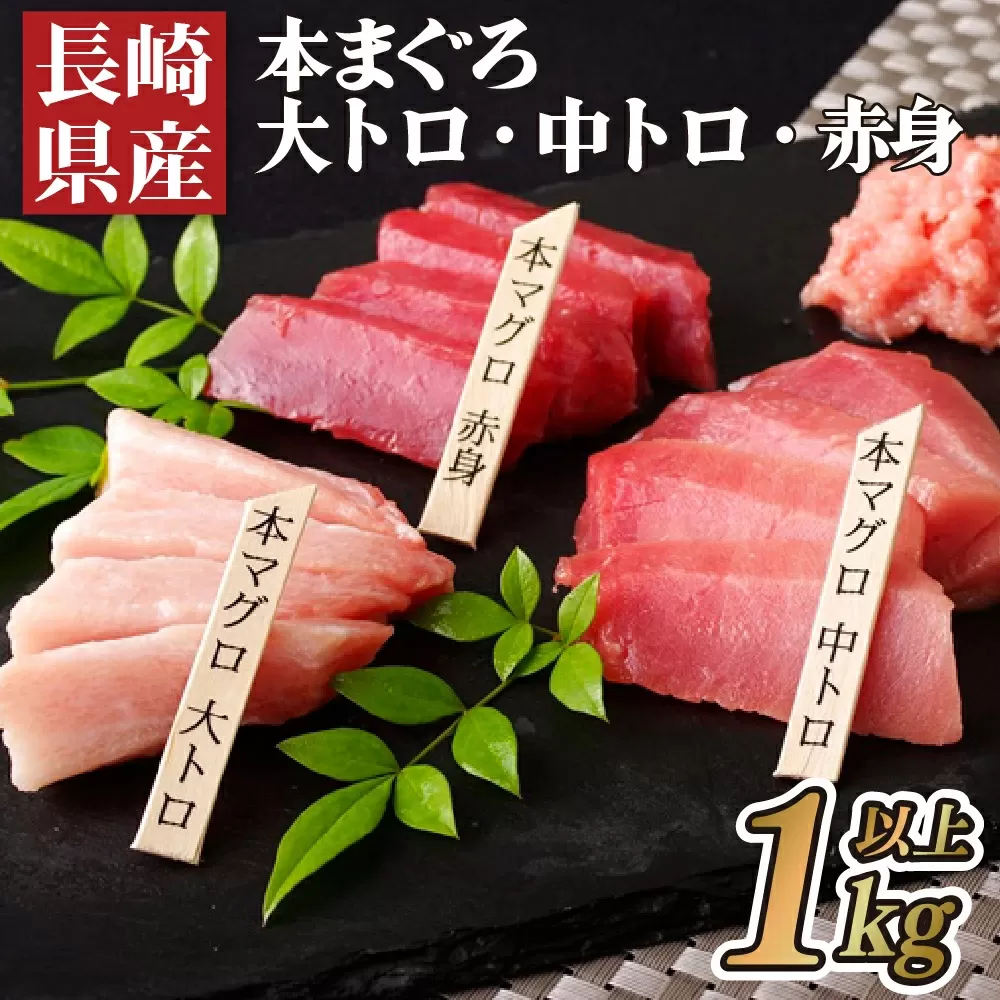 長崎県産本まぐろ(大トロ･中トロ･赤身)1,000g以上 海鮮丼のタレ付き