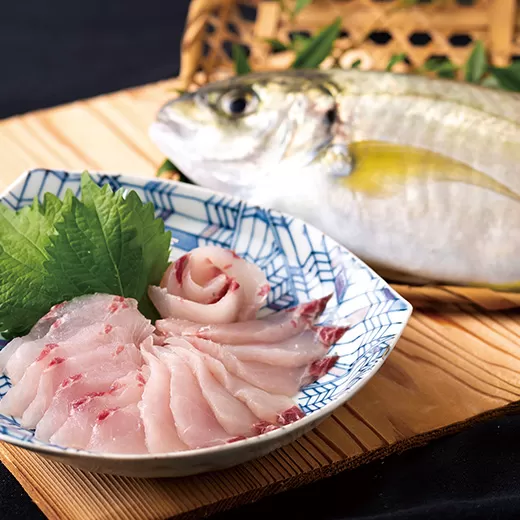 ｢活〆急速冷凍｣お刺身で食べられるシマアジ