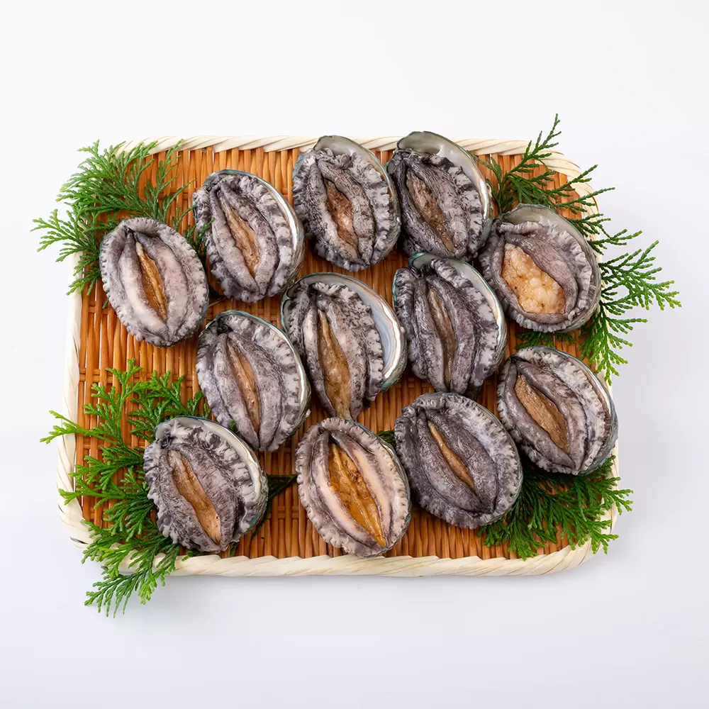 九十九島活あわび(900g)養殖