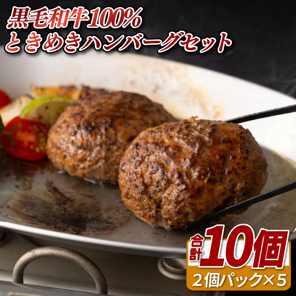 黒毛和牛100%ときめきハンバーグセット