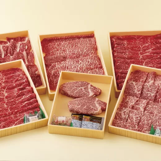 【ヒレ含む！赤身6回定期便】 長崎和牛 赤身お届け便 総計2.2kg
