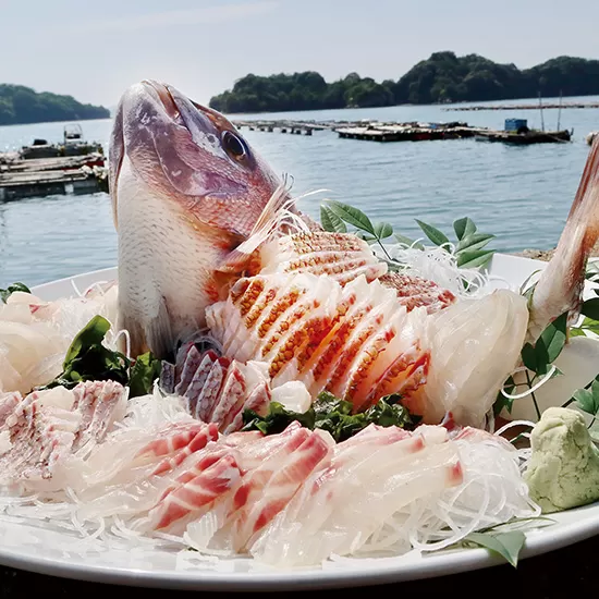 片岡水産真鯛セット(大)