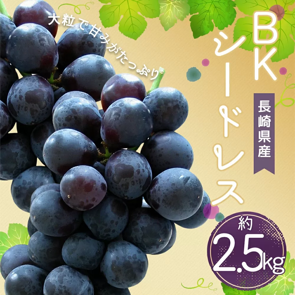 時津町産 BKシードレス 約2.5kg ぶどう 果物 くだもの フルーツ 【2025年8月下旬‐9月上旬迄発送予定】