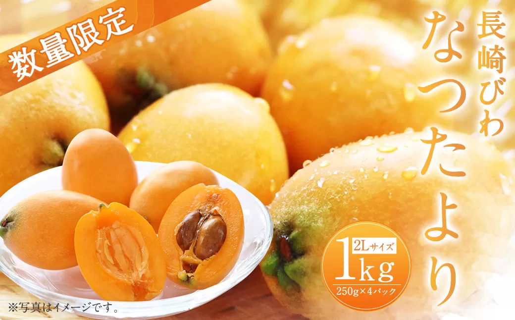 長崎びわ なつたより 250g×4パック（計1kg） 2Lサイズ 【2025年5月下旬～6月上旬迄発送予定】