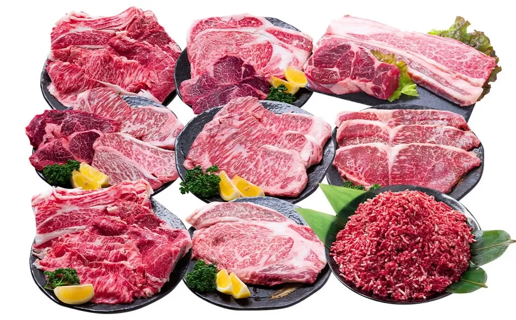 【12回定期便】 長崎和牛 プレミアムコース ／ 12回定期便 和牛 牛肉 お肉 肉 サーロイン もも カルビ バラ ロース リブロース すね 牛ミンチ ミンチ ヒレ トモサンカク シキンボ ステーキ 焼き肉 焼肉 すき焼き 煮込み 煮込 しゃぶしゃぶ セット 食べ比べ 定期便 長崎県 時津町 冷凍