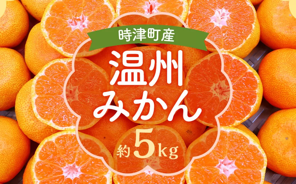 時津町特産 温州みかん 約5kg 糖度が高くなる時期のみお届け！【時期厳選】【2025年12月上旬～2026年1月下旬迄発送予定】