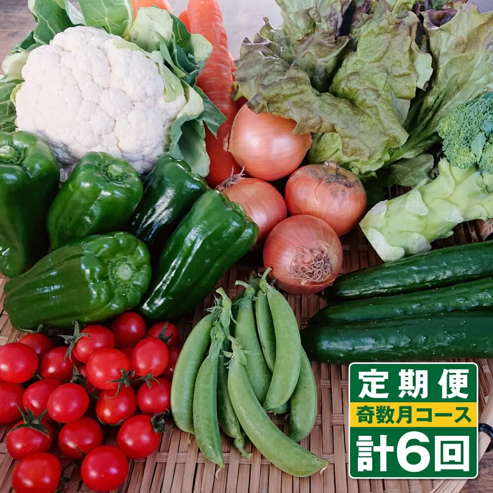 【定期便 奇数月コース】野菜のプロ40年が届ける こだわり野菜セット！ 7〜8品目 詰め合わせ