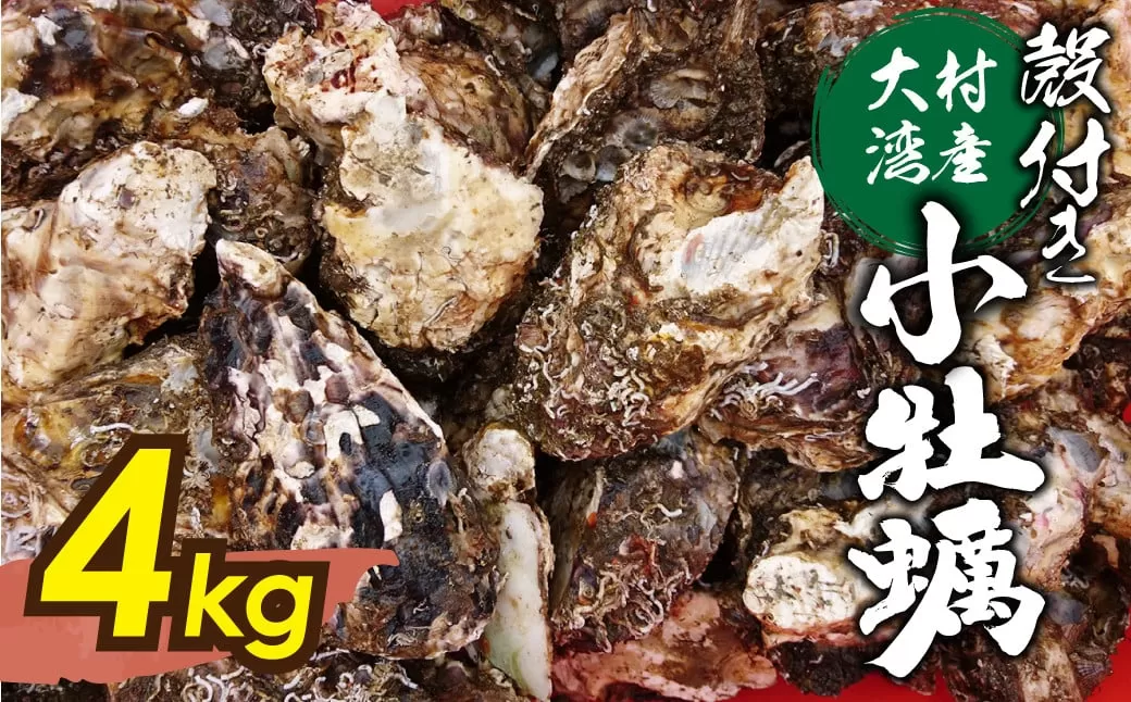 大村湾産 殻付き 小牡蠣 加熱用 Cセット 約4kg 長崎 カキ かき 冷蔵 【2026年2月上旬～3月上旬迄順次発送予定】