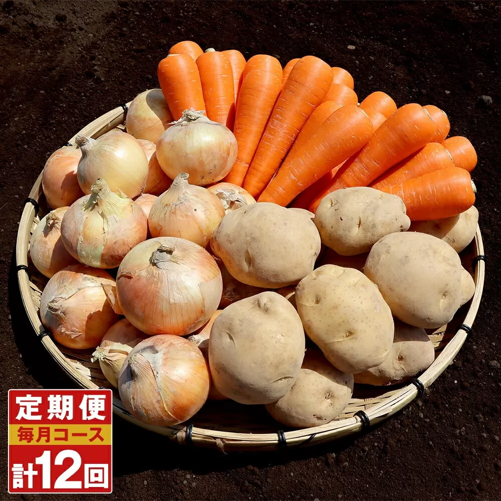 【定期便 12回コース】定番野菜セット定期便 どっさり！約10kg×12回コース じゃがいも 玉ねぎ にんじん かぼちゃ
