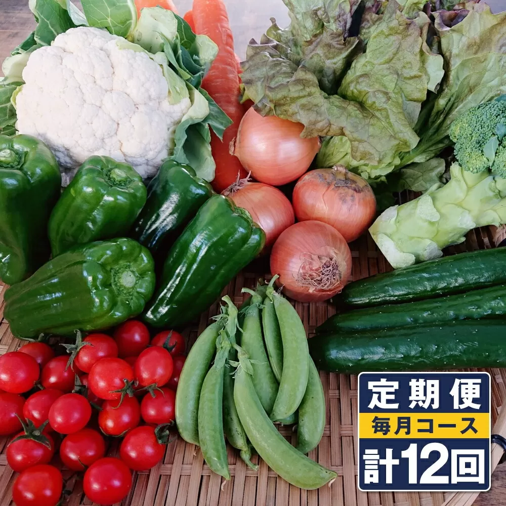 【定期便 12回コース】野菜のプロ40年が届ける こだわり野菜セット！ 7〜8品目 詰め合わせ