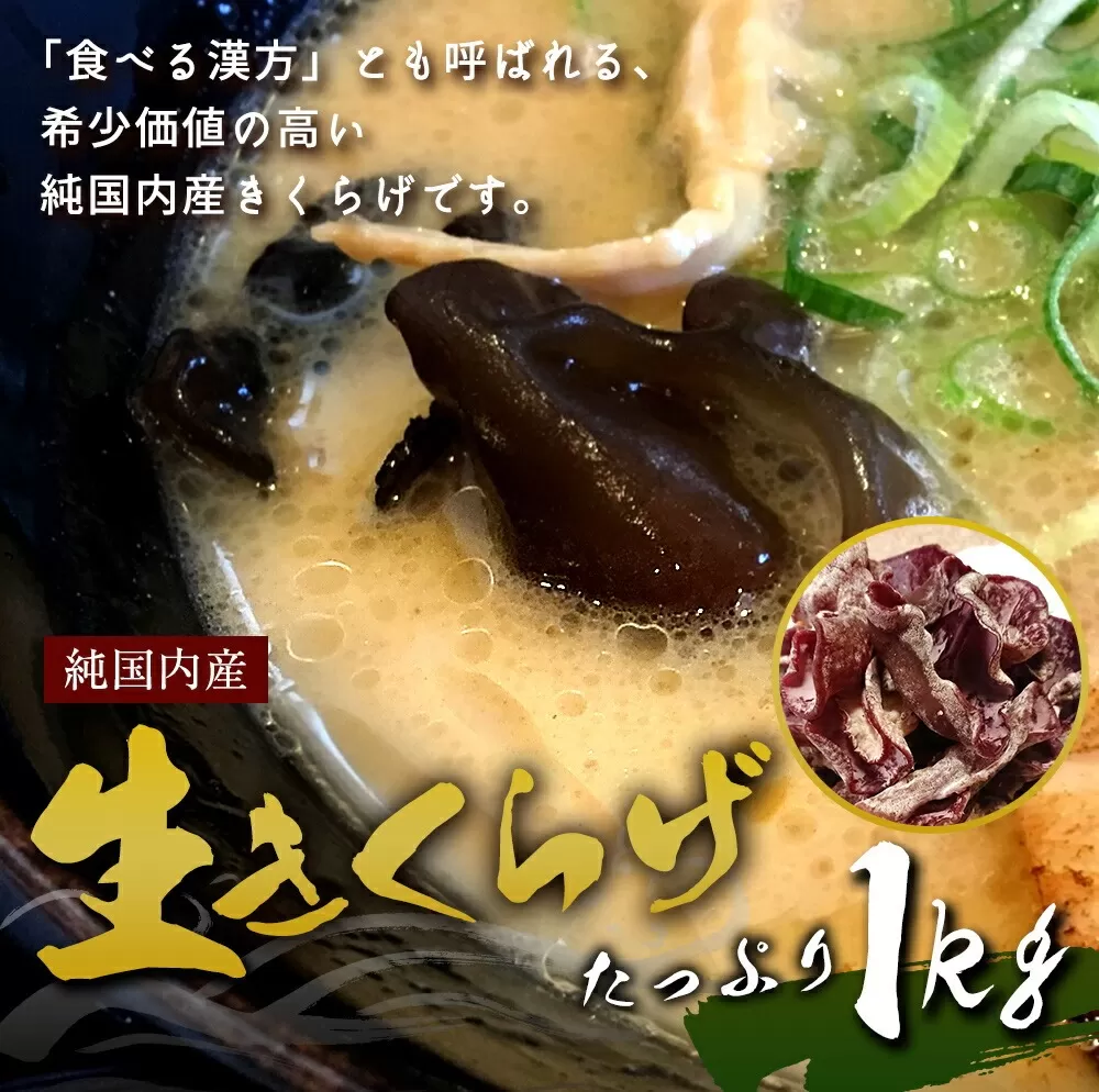 国産 生きくらげ 1kg（ご家庭用）【2025年5月下旬～6月下旬発送】