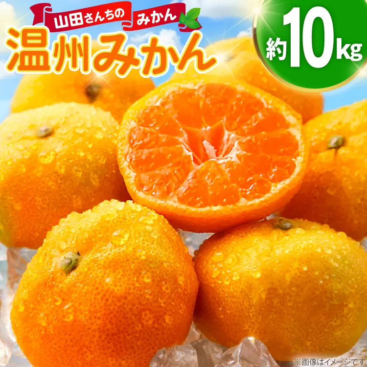 みかん 温州みかん 10kg [長崎県 東彼杵町 hs42bag330003] 果物 柑橘 国産 長崎産 東彼杵
