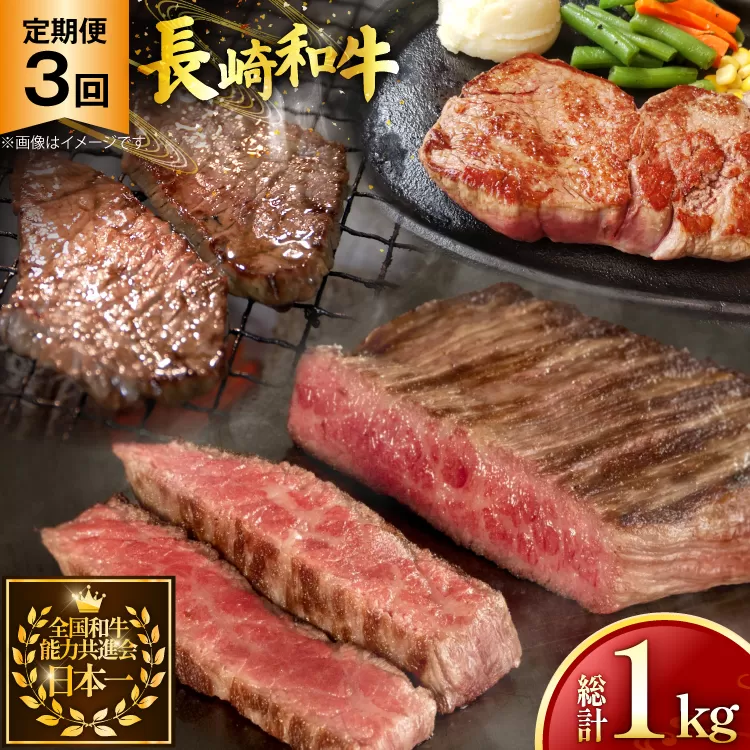 牛肉 和牛 定期便 長崎和牛 ステーキ 食べ比べ 3回 ヒレ ランプ サーロイン 総計1.0kg [黒牛 長崎県 東彼杵町 hs42bag750004] 赤身肉 赤身肉ステーキ 赤身ステーキ ヒレステーキ サーロインステーキ ランプ