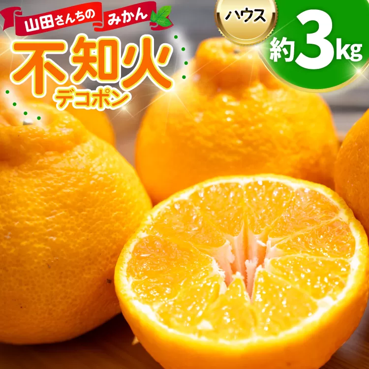 みかん 山田さんちのハウス不知火(しらぬい) 約3kg [長崎県 東彼杵町 hs42bag330000] 果物 柑橘 国産 長崎県産 東彼杵