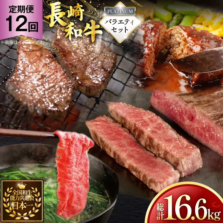 牛肉 和牛 定期便 長崎和牛 バラエティセット「プラチナ」 12回 総計16.6kg [黒牛 長崎県 東彼杵町 hs42bag750083] 牛肉 ローストビーフ ステーキ しゃぶしゃぶ モモ もも ヒレ ヒレ肉 ざぶとん ハンバーグ