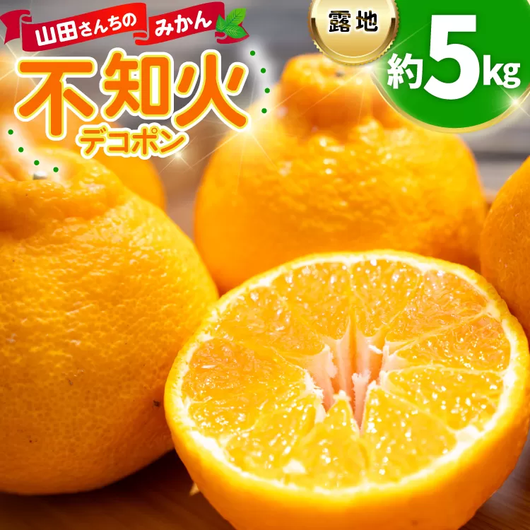 みかん 山田さんちの露地不知火(しらぬい) 約5kg [長崎県 東彼杵町 hs42bag330001] 果物 柑橘 国産 長崎産 東彼杵