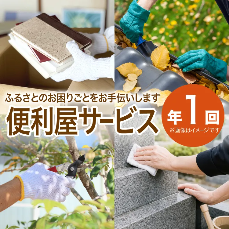 代行 片付け 便利屋サービス 年1回分 代行チケット [daikichi-k 便利屋サービス 長崎県 東彼杵町 hs42bvm390001] 草刈り 点検 清掃 掃除代行 通水 害虫 駆除 郵便物 生前整理 遺品整理
