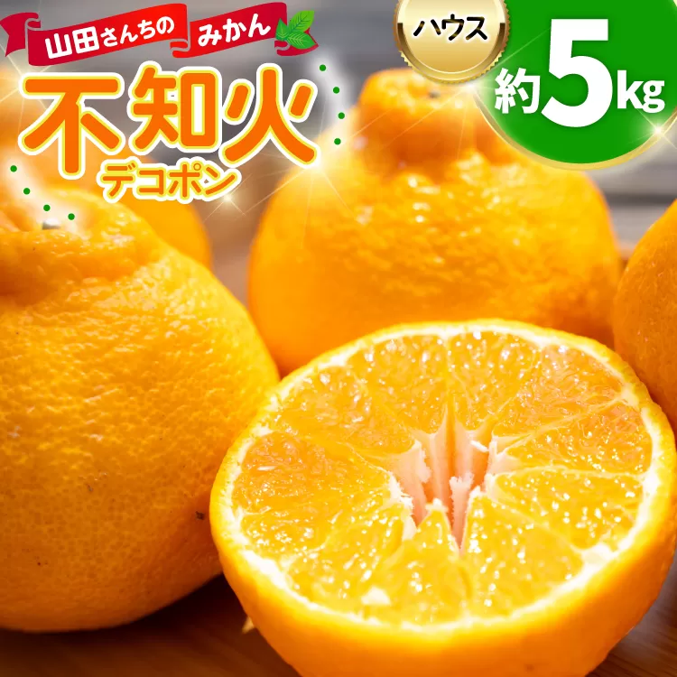 みかん 山田さんちのハウス不知火(しらぬい) 約5kg [長崎県 東彼杵町 hs42bag330002] 果物 柑橘 国産 長崎産 東彼杵