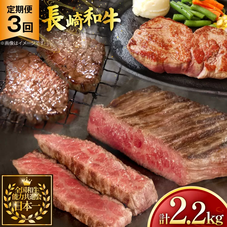 牛肉 和牛 定期便 長崎和牛 ステーキ 食べ比べ 5種 3回 総計2.2kg [黒牛 長崎県 東彼杵町 hs42bag750003] 赤身肉 赤身肉ステーキ 赤身ステーキ ヒレステーキ サーロインステーキ ランプ