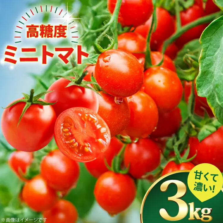 ミニトマト 高糖度 【甘くて濃い】 ミニトマト 3kg [山口製茶 長崎県 東彼杵町 hs42bag310000] 甘い 濃い エコ スイート 単為結果性 自然着果