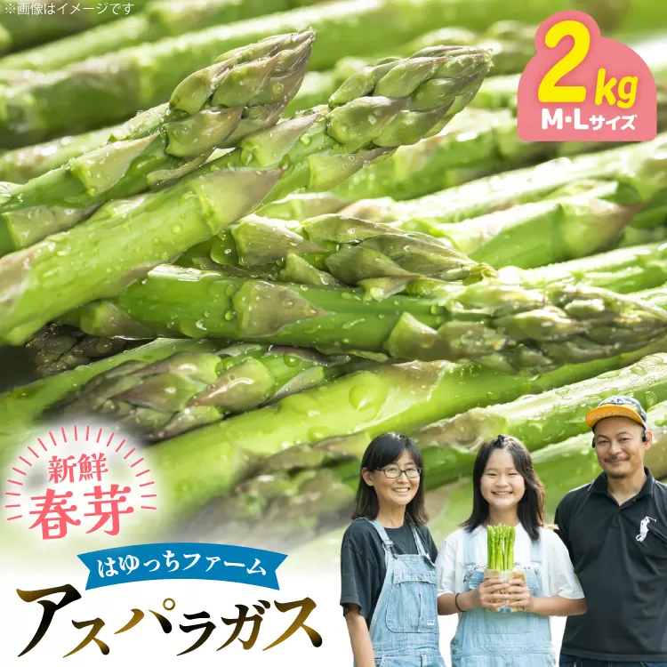 アスパラ アスパラガス 春芽アスパラガス 2kg M L サイズ混合 [はゆっちFARM 長崎県 東彼杵町 hs42bag360014] アスパラ あすぱら 新鮮 春