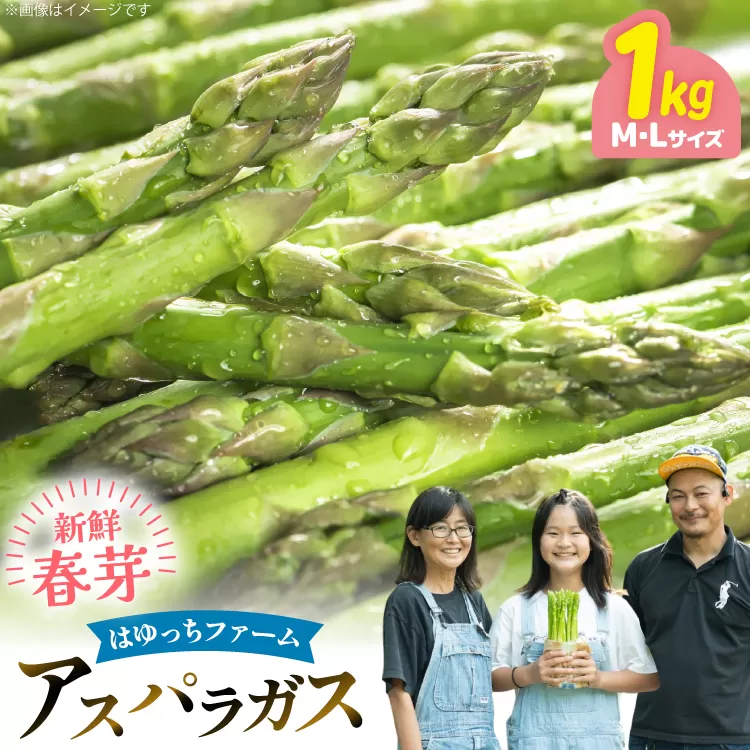 アスパラ アスパラガス 春芽アスパラガス 1kg M L サイズ混合 [はゆっちFARM 長崎県 東彼杵町 hs42bag360012] アスパラ あすぱら 新鮮 春