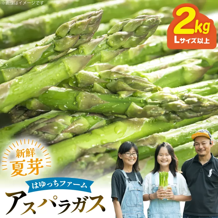 アスパラ アスパラガス 夏芽アスパラガス 2kg L サイズ以上 [はゆっちFARM 長崎県 東彼杵町 hs42bag360003] アスパラ あすぱら 新鮮 夏