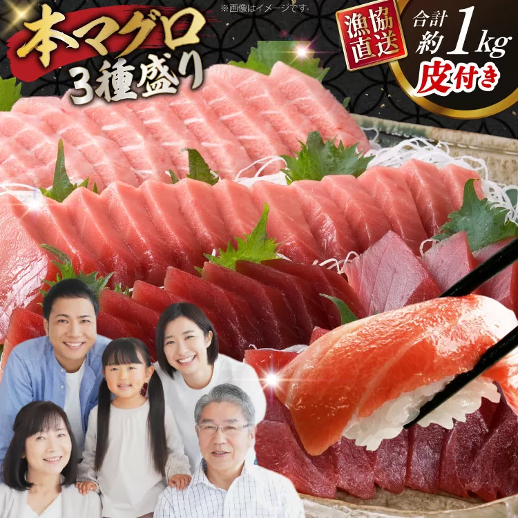 マグロ 本マグロ 大トロ 中トロ 赤身 詰め合わせ 総計1kg [大村湾漁業 長崎県 東彼杵町 hs42bag670025] まぐろ マグロ 鮪 魚 大トロ 中トロ 赤身 3種盛り さしみ 刺身 寿司 すし まぐろ丼 高級 冷凍