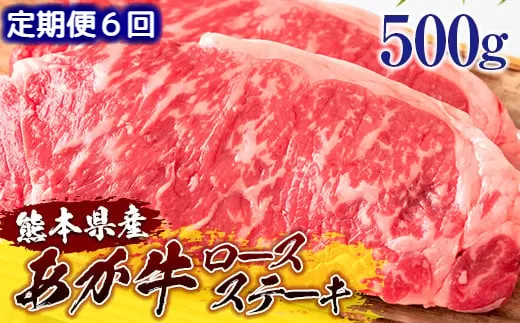 熊本県産和牛 あか牛 ロースステーキ 500g＜定期便6回＞