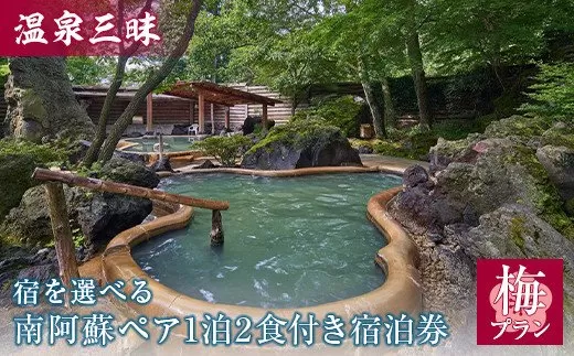 【温泉三昧】宿を選べる南阿蘇ペア1泊2食付き平日宿泊券／梅プラン