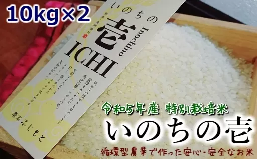 令和5年産特別栽培米 いのちの壱(白米)10kg×2