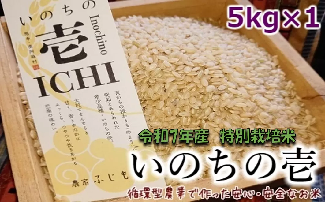 【数量限定！農家から直接お届け】令和7年産特別栽培米 いのちの壱(玄米)5kg×1
