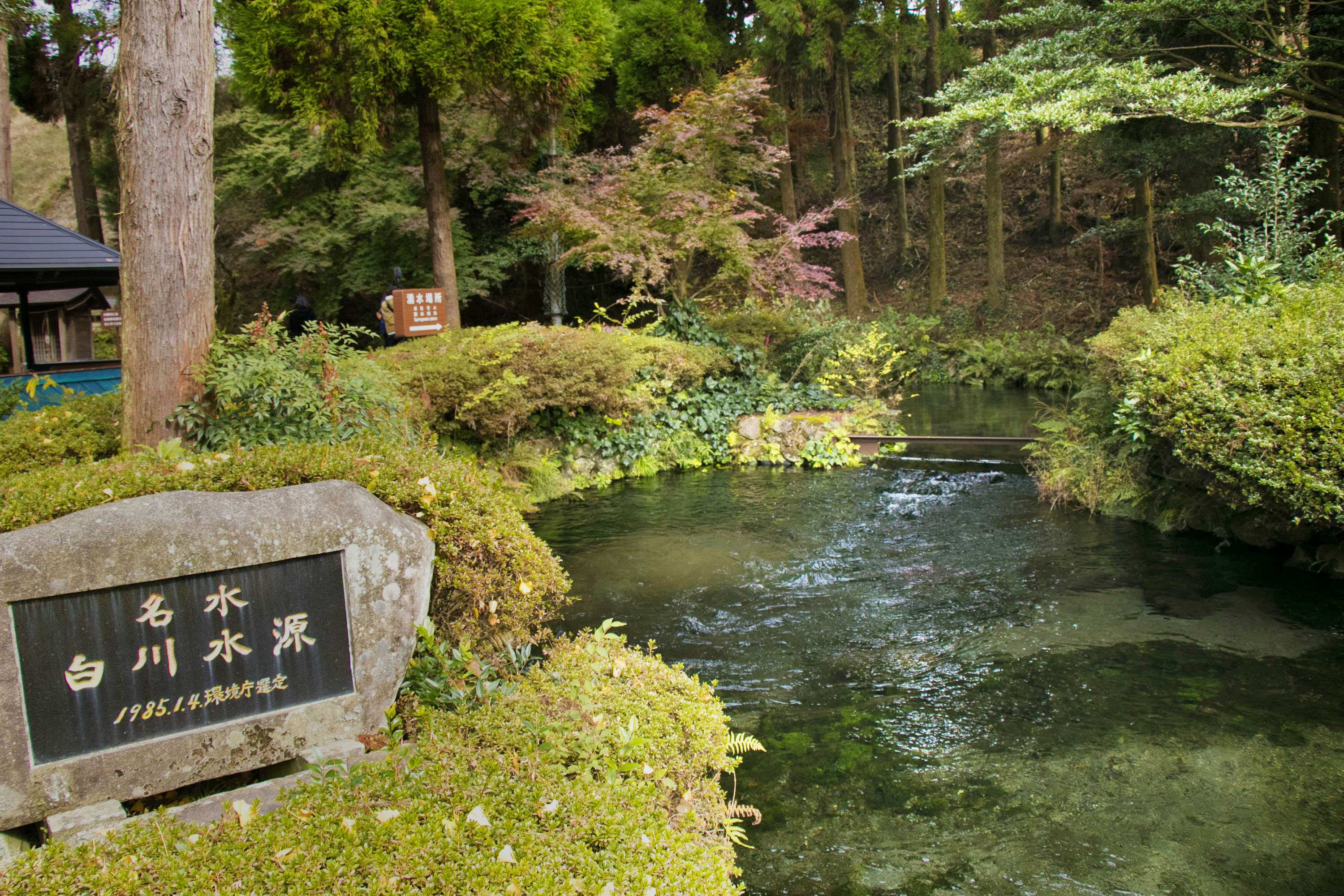 昭和の名水百選「白川水源」