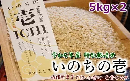 令和5年産特別栽培米 いのちの壱(玄米)5kg×2 