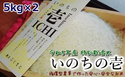 令和5年産特別栽培米 いのちの壱(白米)5kg×2
