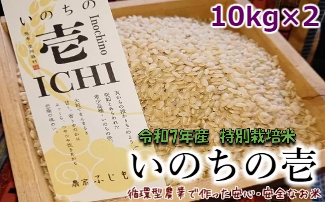 【数量限定！農家から直接お届け】令和7年産特別栽培米 いのちの壱(玄米)10kg×2