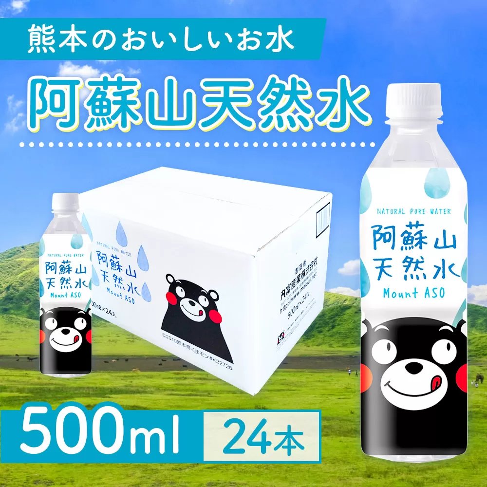 [6カ月定期便]熊本のおいしいお水 阿蘇山天然水 500ml 1ケース×6回(計144本入)