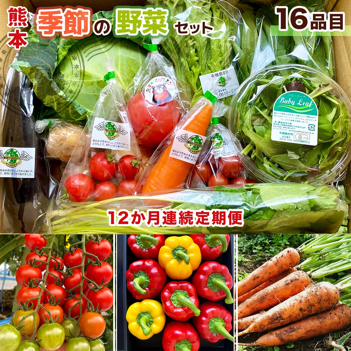 【12か月連続定期便】熊本季節の野菜セット 16品目  AB004