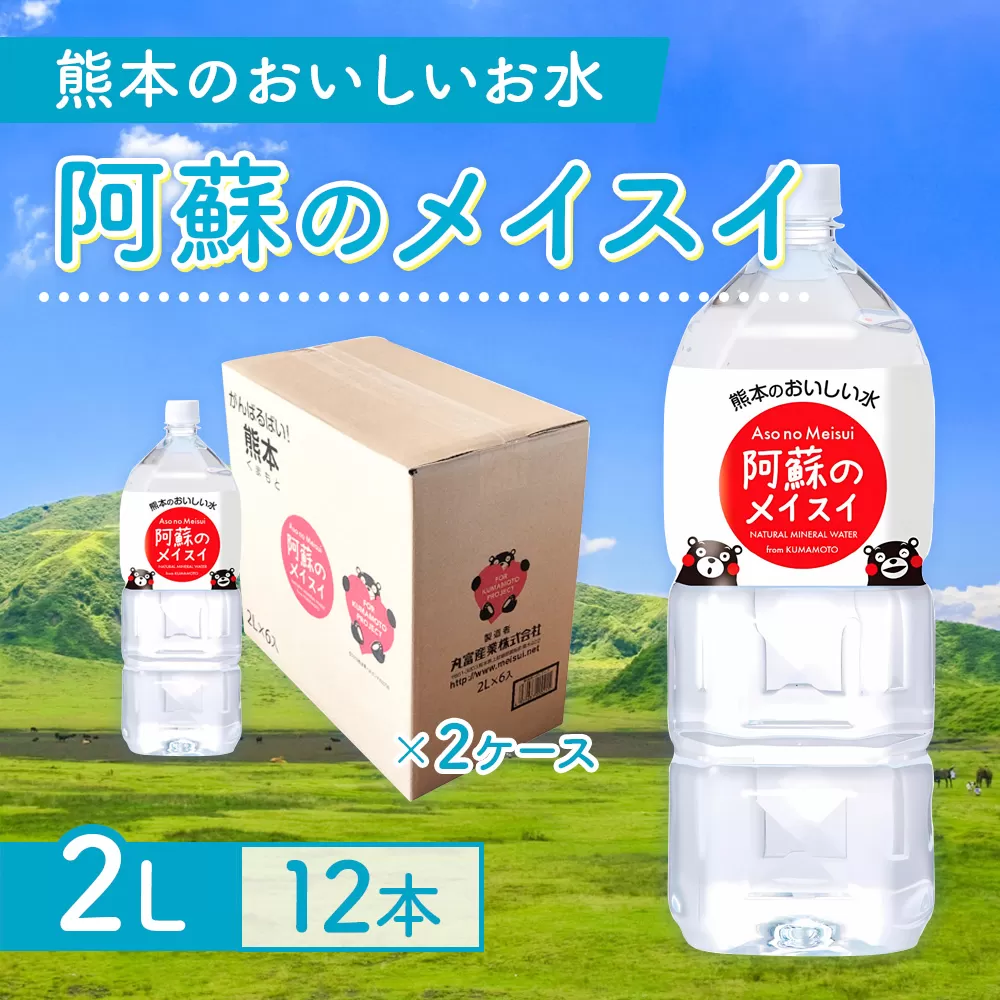 【3カ月定期便】熊本のおいしいお水 阿蘇のメイスイ 2L 2ケース×3回（計36本）CA012