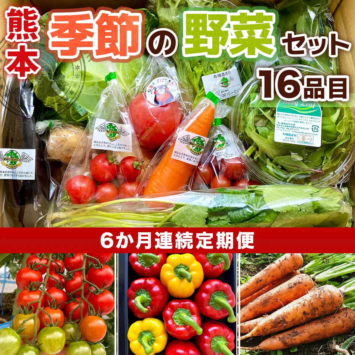 【6か月連続定期便】熊本季節の野菜セット 16品目  AB003