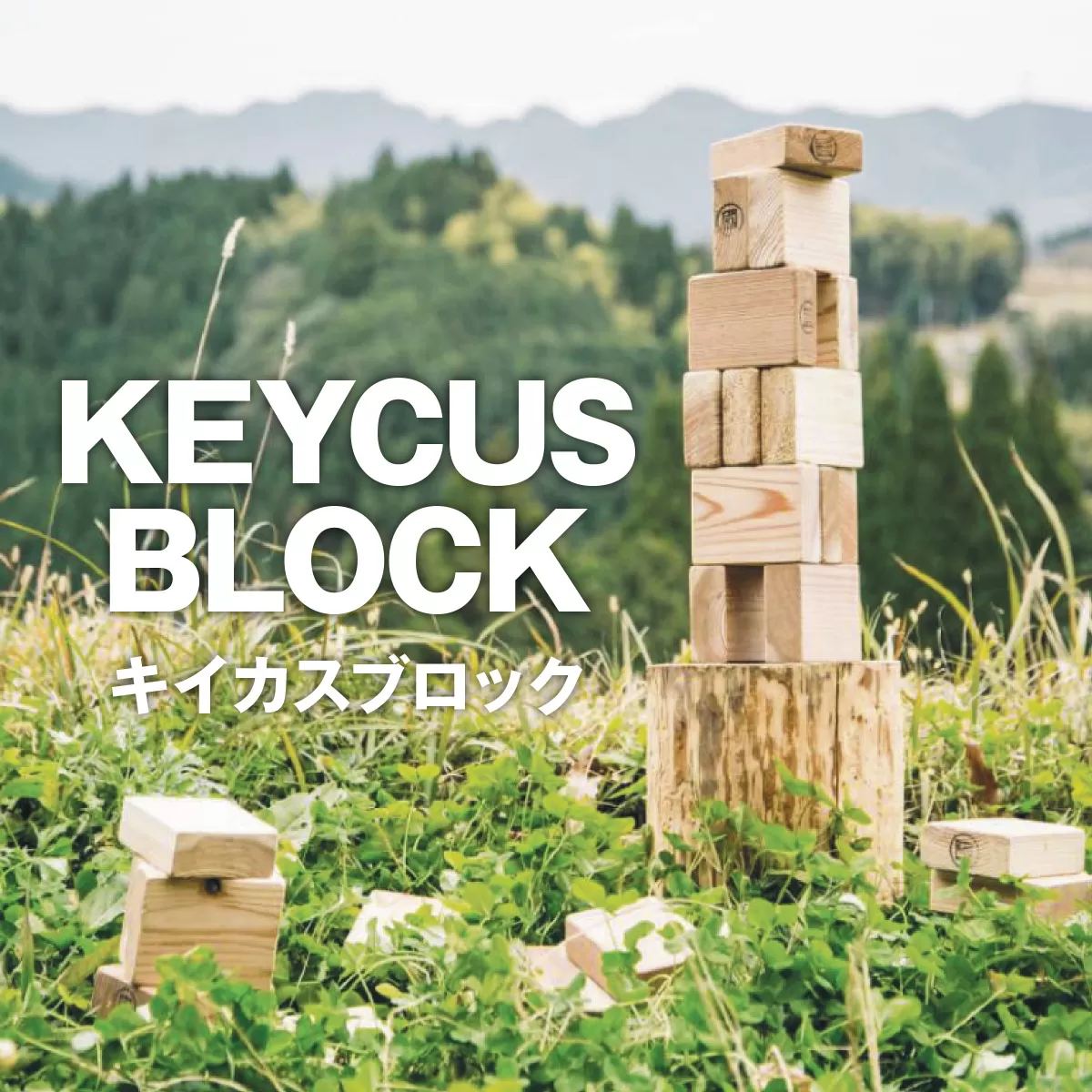 KEYCUS BLOCKキイカスブロック AE001