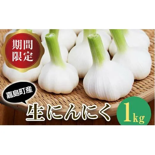 FK7-0179_【先行予約】 生にんにく 1kg